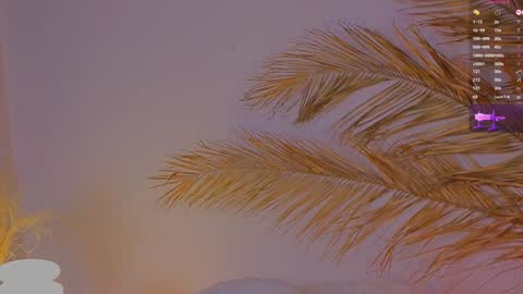 Ally online show from December 15, 2024, 4:04 pm