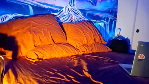 a_bad_guy_duh online show from February 9, 2026, 10:19 am