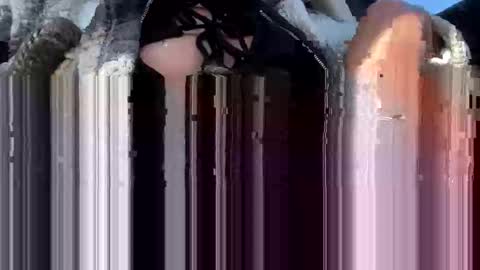 a_rae93 online show from October 14, 2025, 4:19 pm