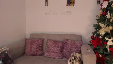 Abbey  IG abby allenn  04 December Online at  I will be on vacation dont forget me  See you soon   online show from December 12, 2024, 11:36 pm