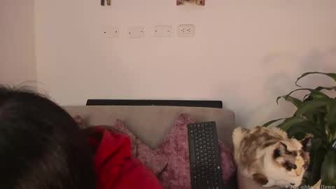 Abbey  IG abby allenn  04 December Online at  I will be on vacation dont forget me  See you soon   online show from March 7, 2025, 11:38 pm