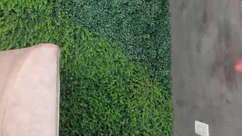 A B B Y online show from February 11, 2025, 3:18 pm