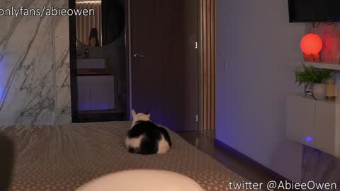 abie_owen online show from September 28, 2025, 9:09 pm