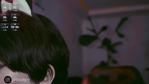 April  online show from December 20, 2025, 10:06 pm