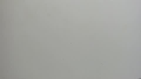 Snapshot of adbel_sady chatting on January 15, 2025, 11:10 am adbel sady online show from January 15, 2025, 11:10 am