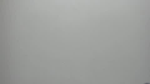 Snapshot of adbel_sady chatting on January 17, 2025, 11:17 am adbel sady online show from January 17, 2025, 11:17 am