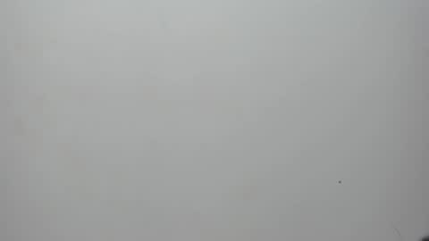 Snapshot of adbel_sady chatting on February 10, 2025, 11:15 am adbel sady online show from February 10, 2025, 11:15 am