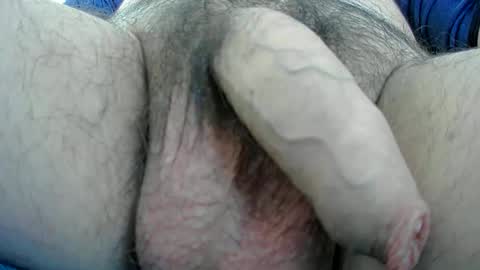 Snapshot of adi2019 chatting on January 13, 2025, 1:17 pm adi2019 online show from January 13, 2025, 1:17 pm