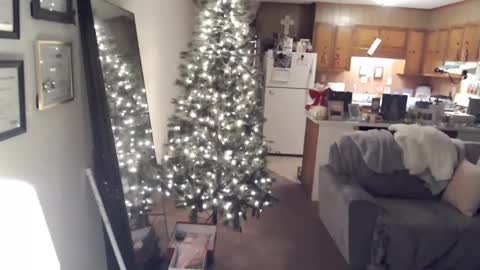 Snapshot of adorable22 chatting on December 19, 2024, 6:01 am adorable22 online show from December 19, 2024, 6:01 am