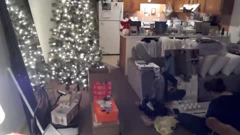 Snapshot of adorable22 chatting on December 20, 2024, 10:22 pm adorable22 online show from December 20, 2024, 10:22 pm