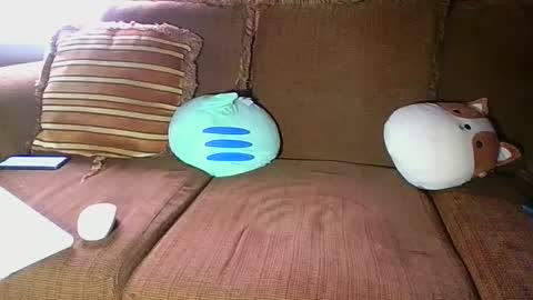 adrian_peter22cm online show from September 16, 2025, 2:51 pm