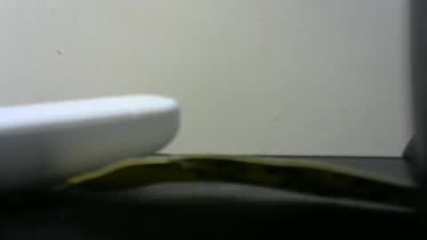 africanlovei online show from January 2, 2025, 6:01 pm