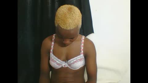 PHOEBE online show from October 6, 2025, 11:40 am