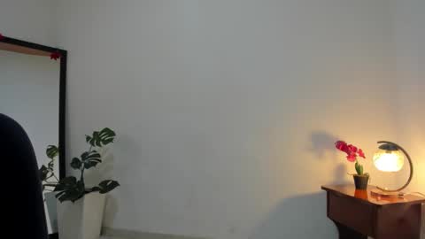 Snapshot of afrodita3123 chatting on September 16, 2025, 2:07 pm Lorena online show from September 16, 2025, 2:07 pm