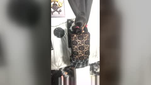 afroluz online show from April 27, 2026, 2:20 am