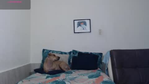 Agatha online show from March 18, 2026, 3:20 am