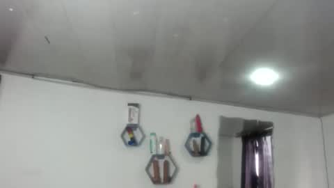 Snapshot of agatha_prime chatting on December 28, 2024, 6:40 pm CAROLINA online show from December 28, 2024, 6:40 pm
