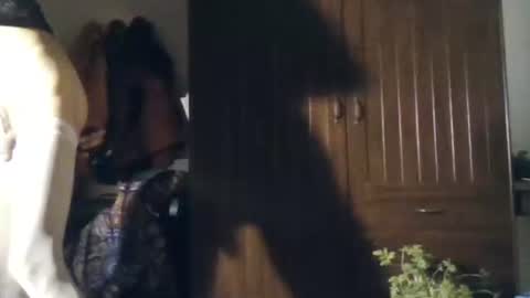 agua online show from November 22, 2025, 11:04 pm