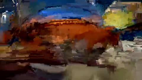 Snapshot of aj297914 chatting on October 1, 2025, 3:34 am aj297914 online show from October 1, 2025, 3:34 am