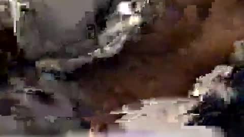 Snapshot of aj297914 chatting on December 20, 2025, 7:59 am aj297914 online show from December 20, 2025, 7:59 am