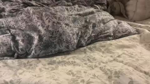 aj86cam online show from January 10, 2026, 2:02 am