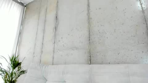 Alan greek online show from February 14, 2025, 1:29 pm