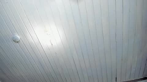 ---Alan--- online show from February 24, 2025, 5:43 am