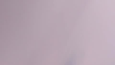 Alan Vidal online show from September 17, 2025, 3:30 am