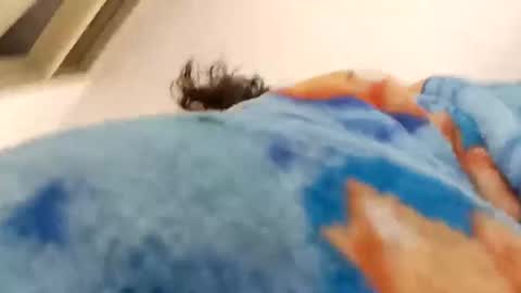 Snapshot of alana_stark chatting on December 15, 2025, 12:31 pm isabella online show from December 15, 2025, 12:31 pm