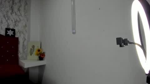Snapshot of alejandra_james chatting on May 4, 2026, 11:28 am ALEJANDRA JAMES online show from May 4, 2026, 11:28 am