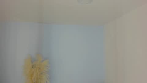 Snapshot of aleksandra_miller chatting on June 26, 2026, 12:31 pm Aleksandra online show from June 26, 2026, 12:31 pm