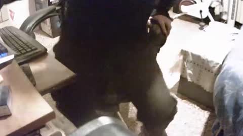 alex81pv1981 online show from December 8, 2024, 6:50 pm