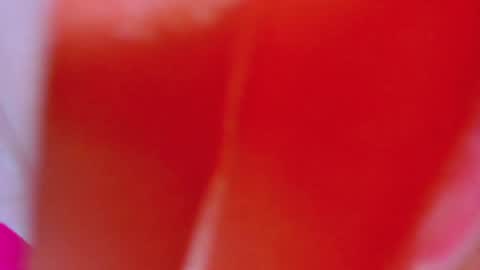 ALEXANDRA online show from February 4, 2025, 8:02 am