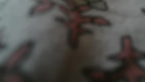 Snapshot of alexboy36 chatting on May 16, 2026, 11:31 am alexboy36 online show from May 16, 2026, 11:31 am