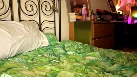 Alex online show from December 22, 2024, 9:31 pm