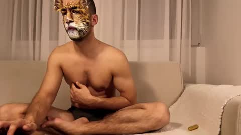 Snapshot of alfadreamer0011 chatting on February 17, 2025, 11:31 pm alfadreamer0011 online show from February 17, 2025, 11:31 pm