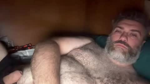 alfali online show from July 17, 2026, 7:41 pm