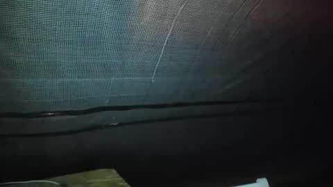 alfiesolomons87 online show from September 9, 2025, 2:11 am