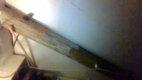 alfred152 online show from June 18, 2026, 4:02 am