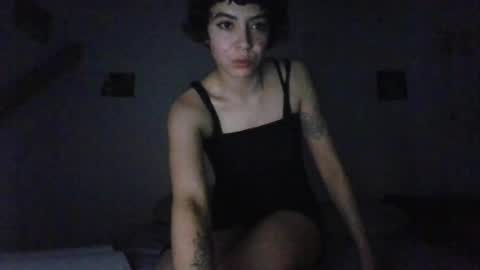 alice_fairy_ online show from July 23, 2026, 8:01 am