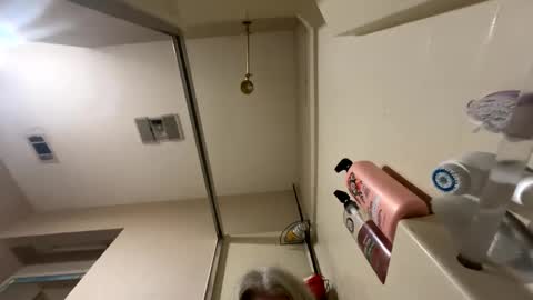 Snapshot of alicescuriosity chatting on December 17, 2024, 6:31 pm Alices Curiosity online show from December 17, 2024, 6:31 pm