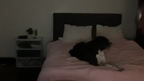 spaceprincess online show from April 22, 2026, 5:43 am