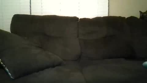 aliendick2274 online show from February 24, 2026, 8:23 am