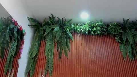 Snapshot of aliice_greco chatting on June 2, 2026, 11:34 am Alice online show from June 2, 2026, 11:34 am