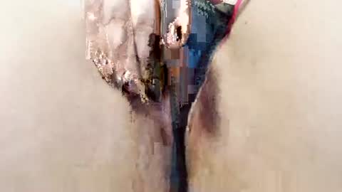 alisesexydoll777 online show from January 13, 2026, 4:56 pm