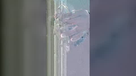 alisherof online show from January 13, 2026, 11:15 am