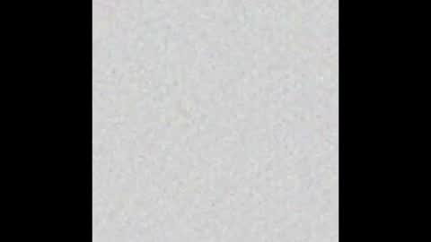 Alisse online show from October 14, 2025, 12:17 pm