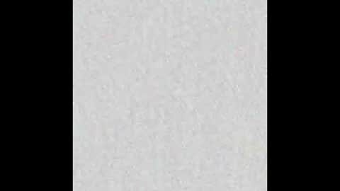 Alisse online show from November 4, 2025, 12:04 pm