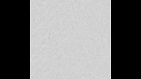 Alisse online show from December 18, 2025, 11:49 am