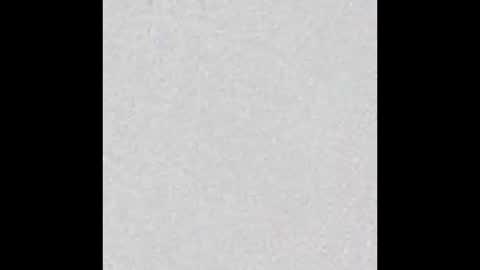 Alisse online show from January 8, 2026, 11:56 am